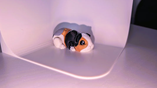 Hamster 3D